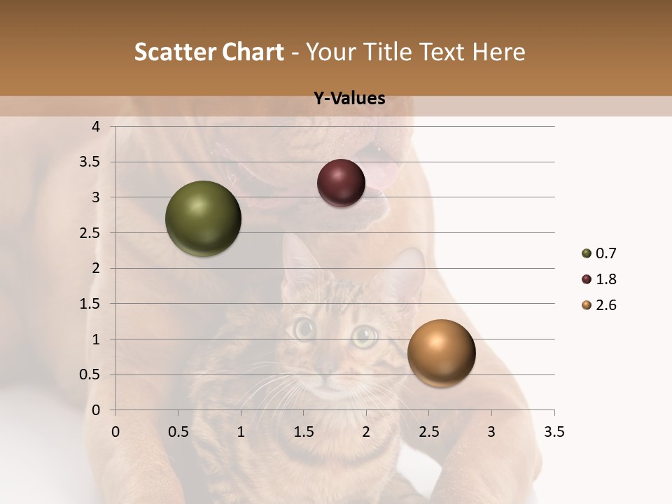 Feline Relations White PowerPoint Template