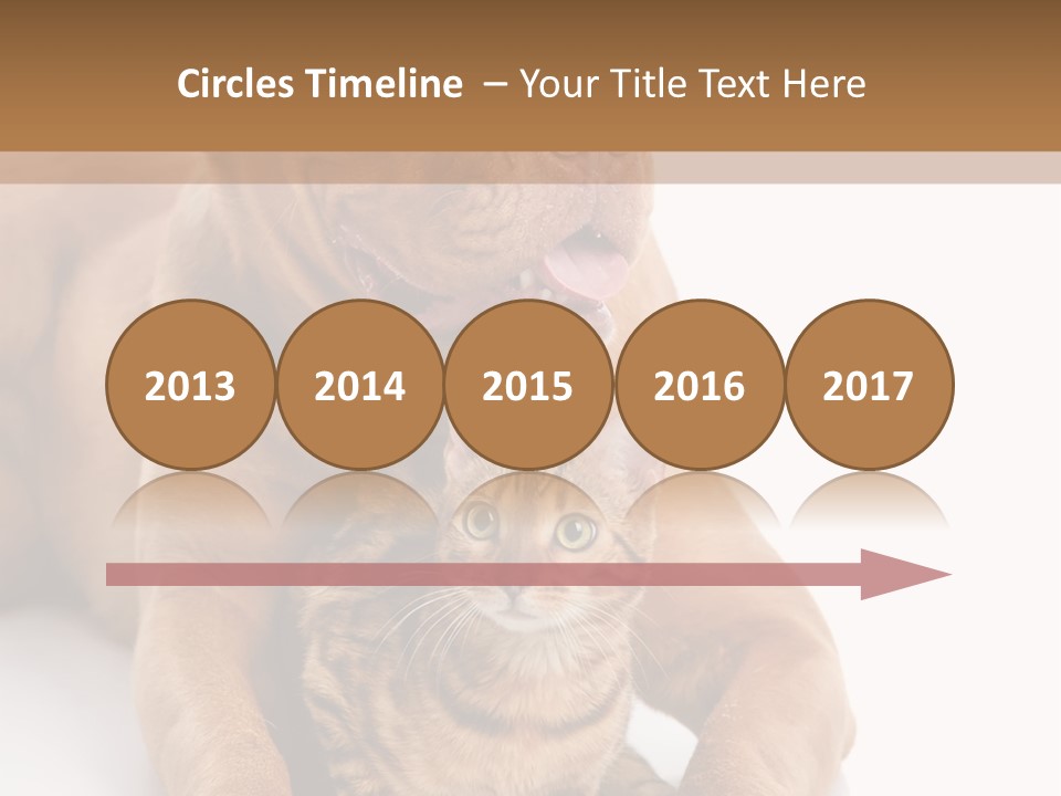 Feline Relations White PowerPoint Template