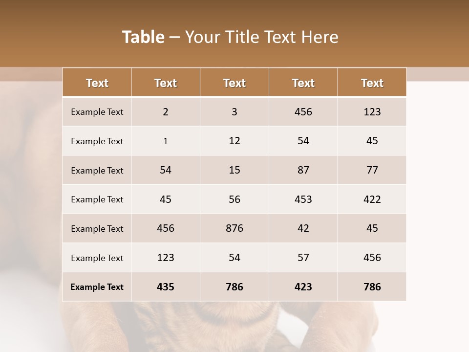 Feline Relations White PowerPoint Template