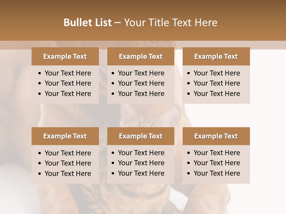 Feline Relations White PowerPoint Template