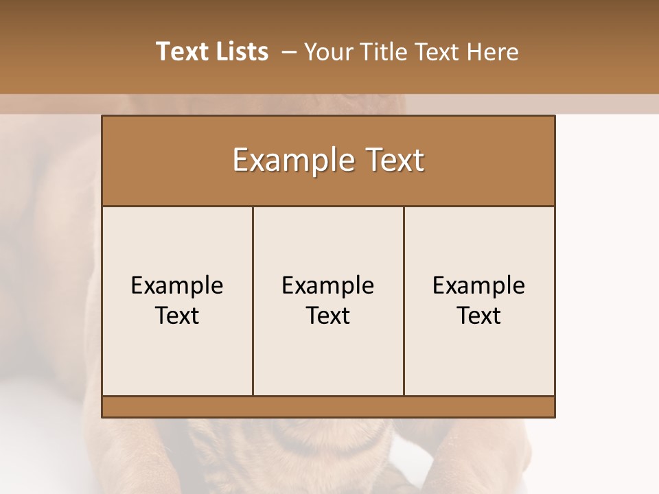 Feline Relations White PowerPoint Template