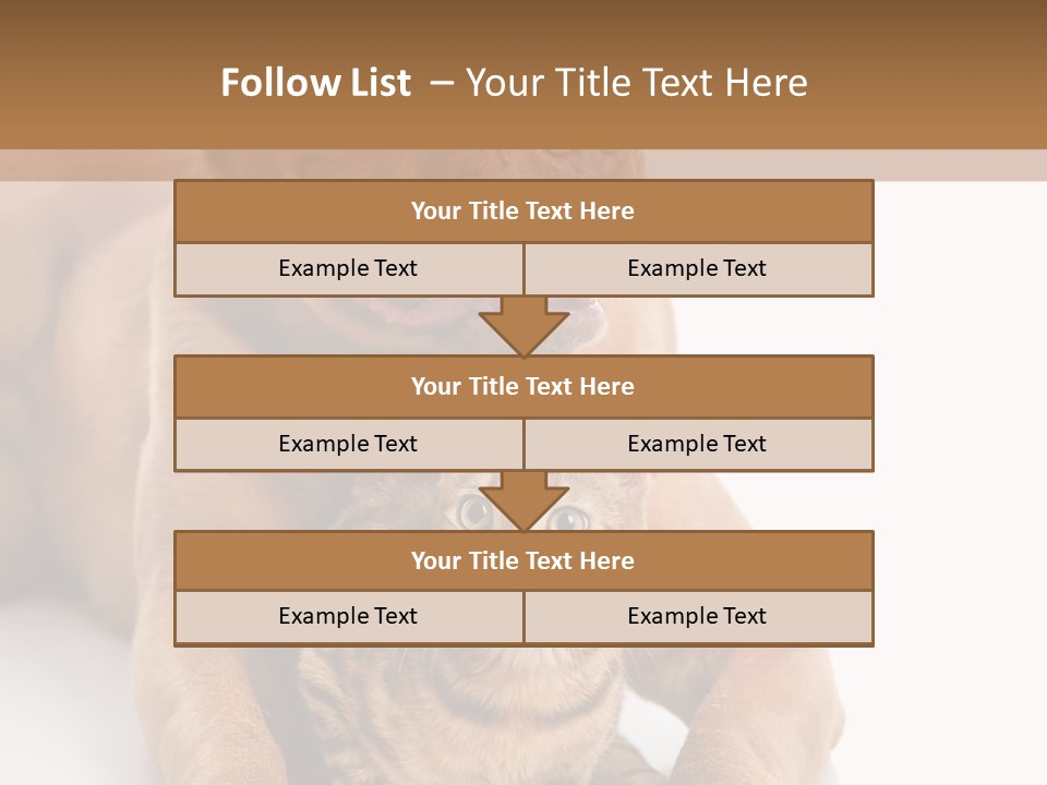 Feline Relations White PowerPoint Template