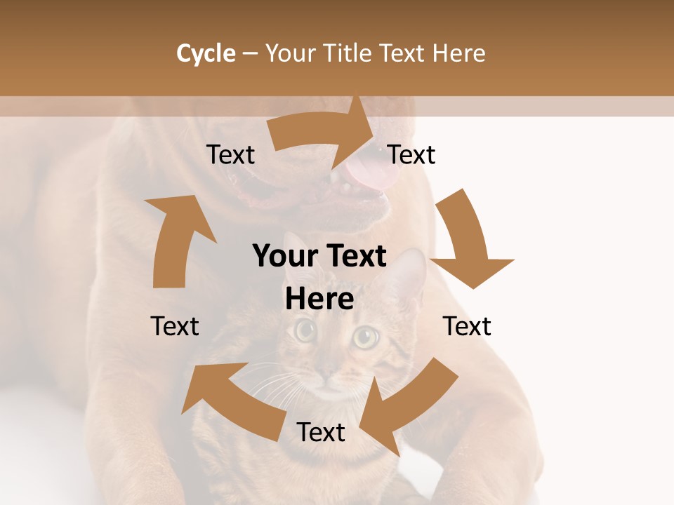 Feline Relations White PowerPoint Template