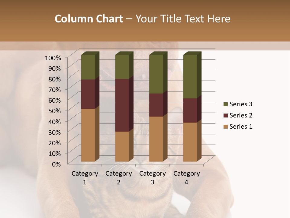 Feline Relations White PowerPoint Template