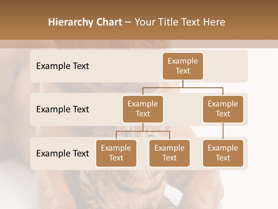 Feline Relations White PowerPoint Template