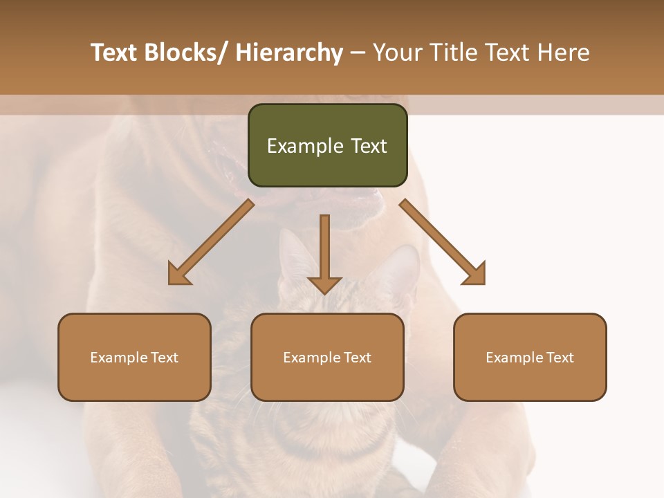 Feline Relations White PowerPoint Template
