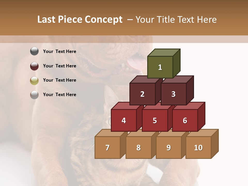 Feline Relations White PowerPoint Template