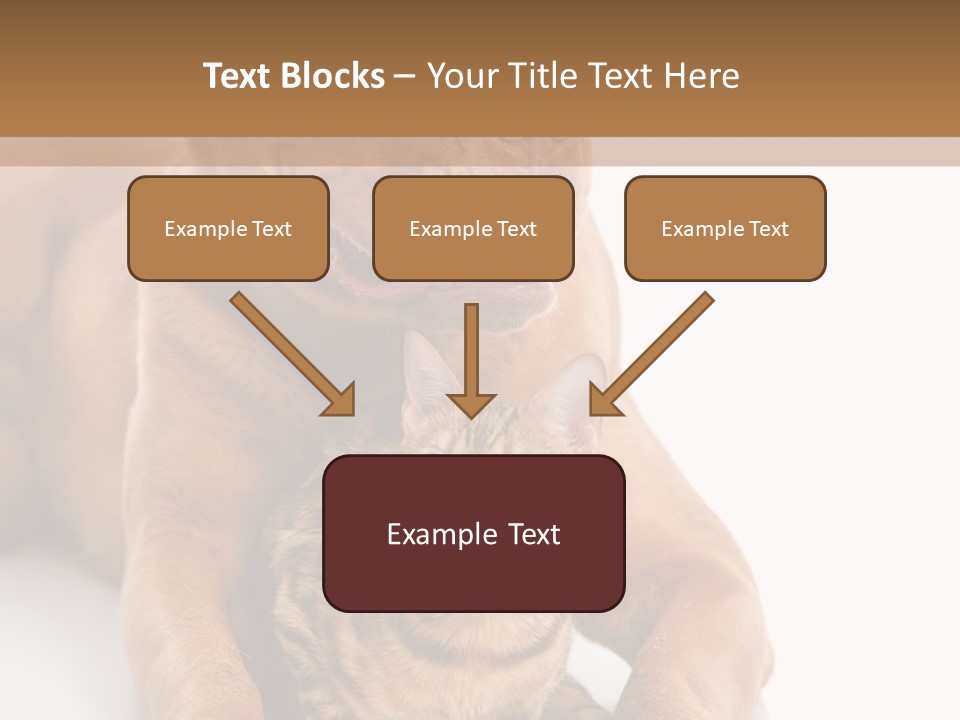 Feline Relations White PowerPoint Template