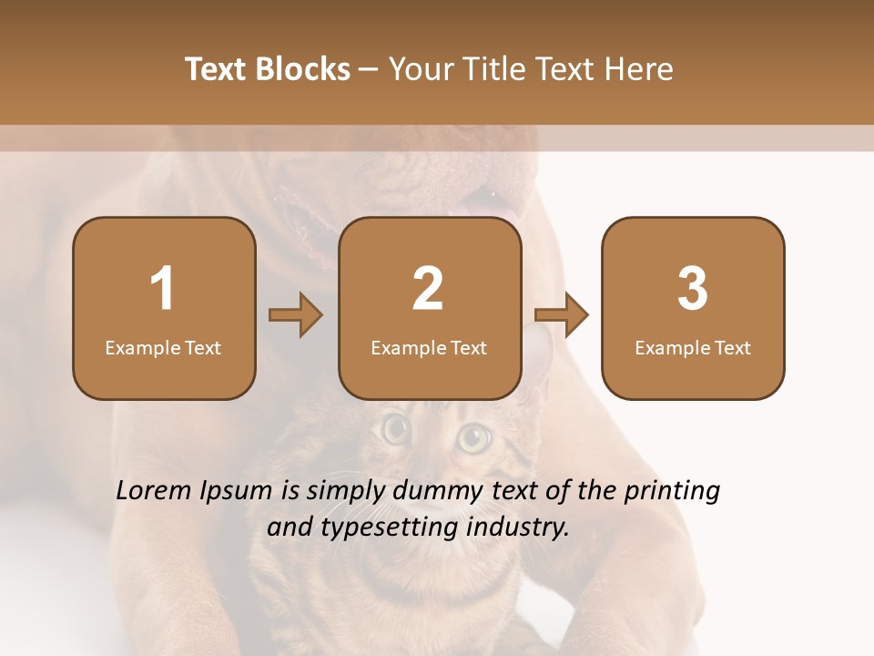 Feline Relations White PowerPoint Template