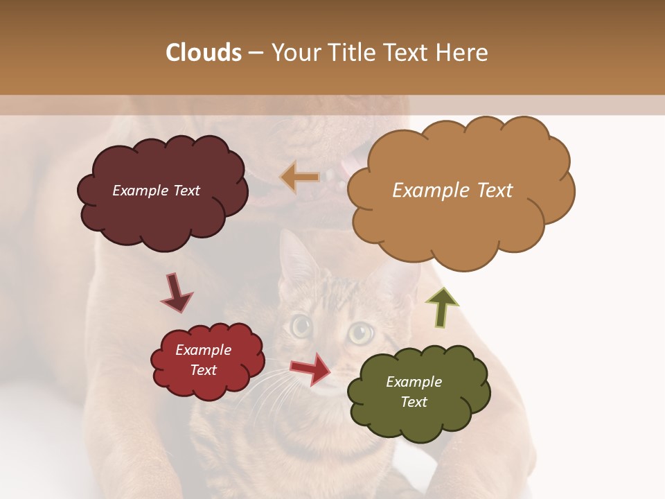 Feline Relations White PowerPoint Template