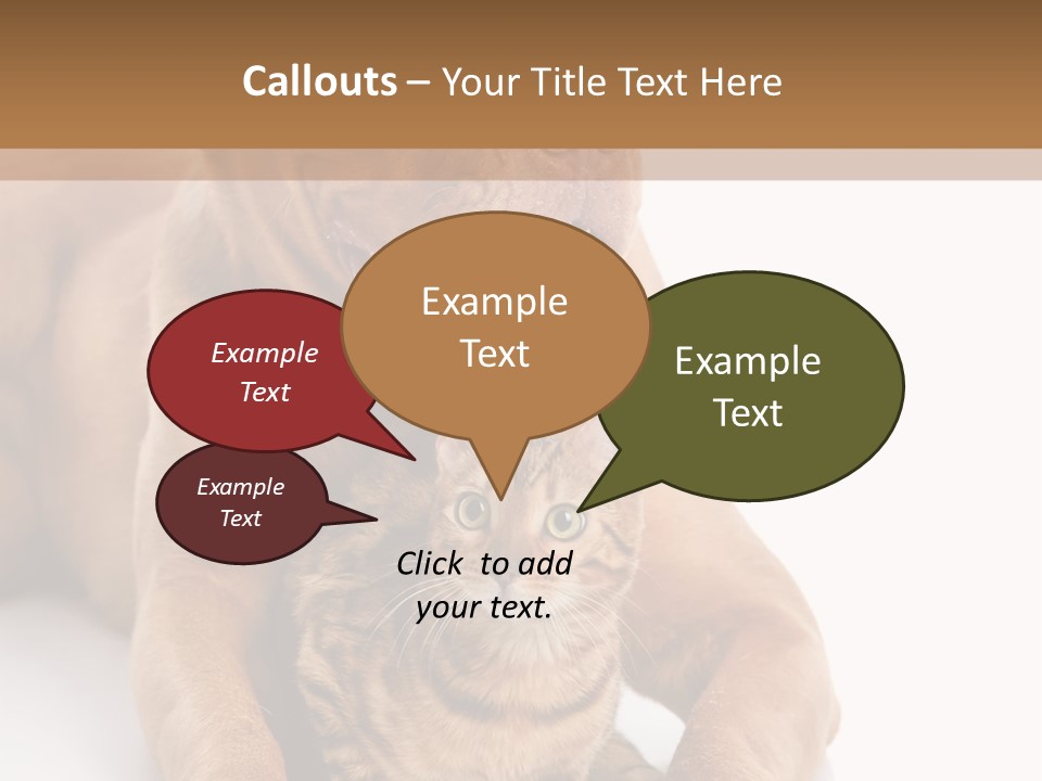 Feline Relations White PowerPoint Template