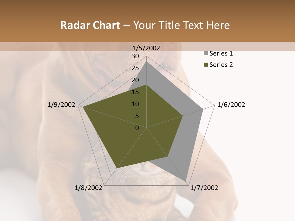 Feline Relations White PowerPoint Template