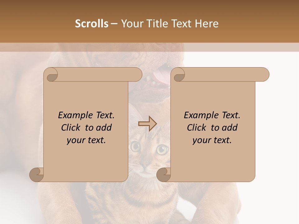 Feline Relations White PowerPoint Template