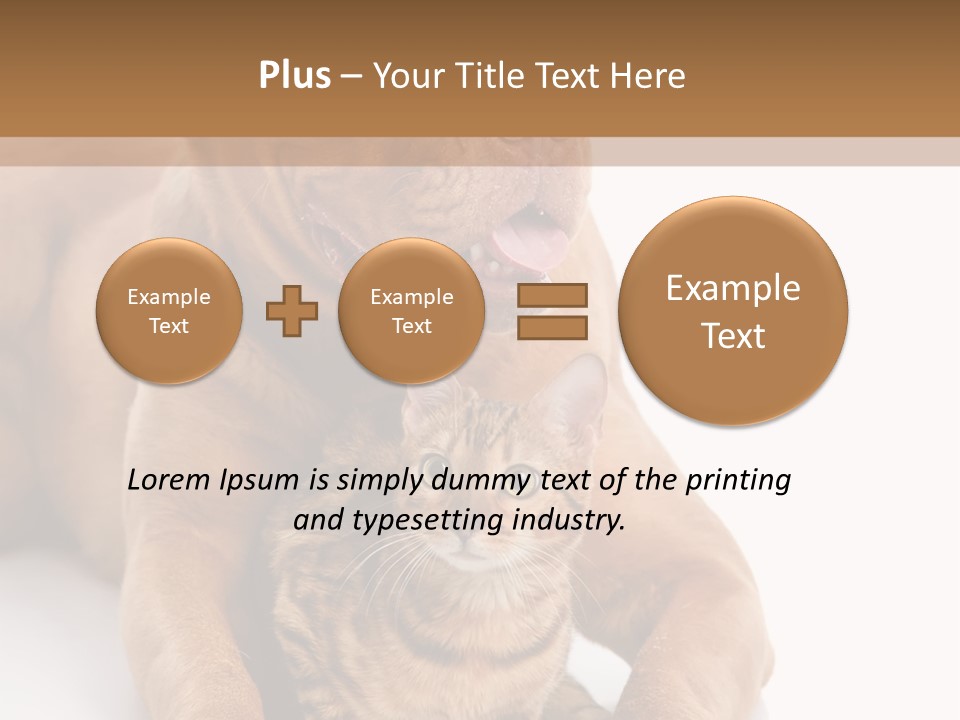 Feline Relations White PowerPoint Template