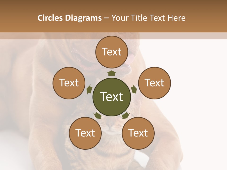 Feline Relations White PowerPoint Template