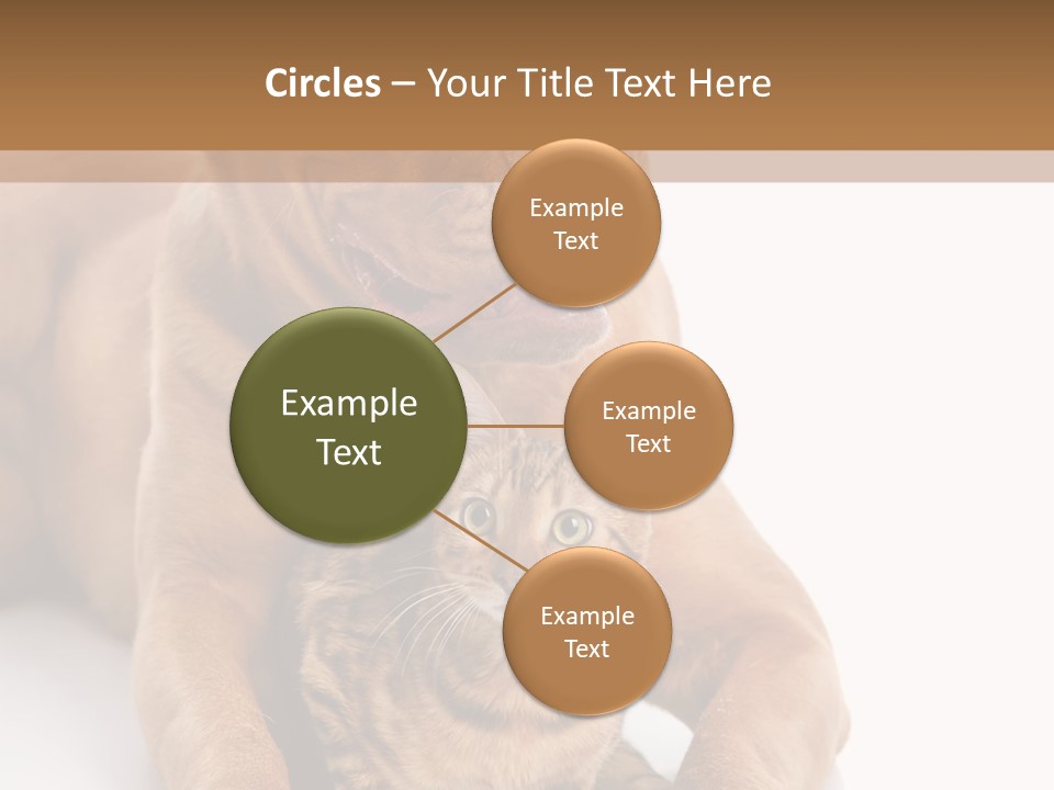 Feline Relations White PowerPoint Template