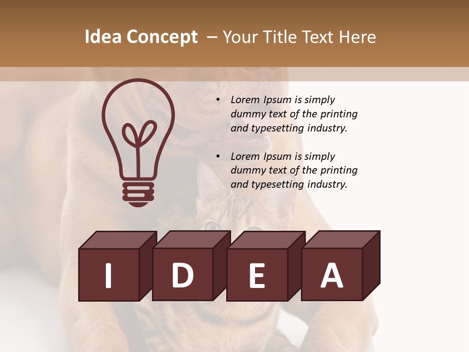 Feline Relations White PowerPoint Template