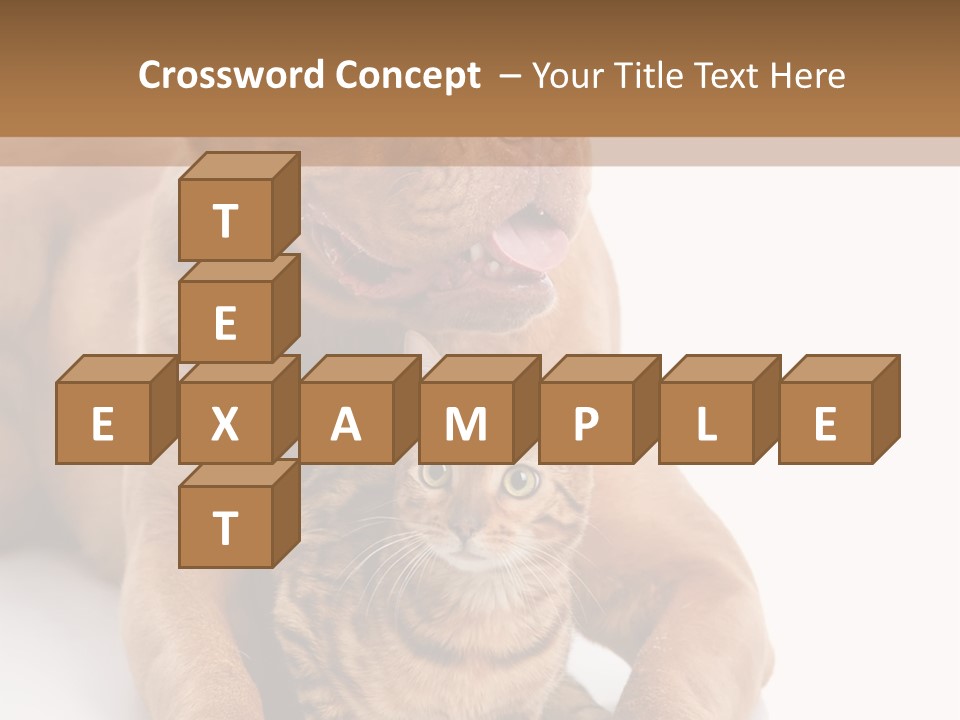 Feline Relations White PowerPoint Template