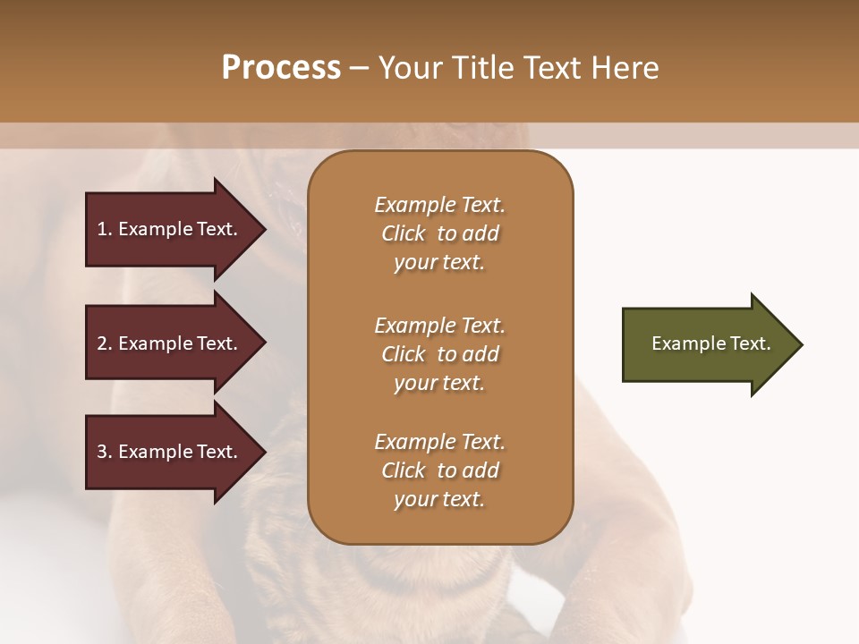 Feline Relations White PowerPoint Template