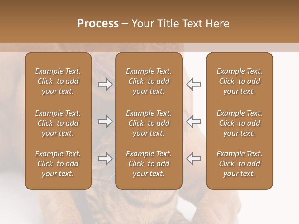 Feline Relations White PowerPoint Template
