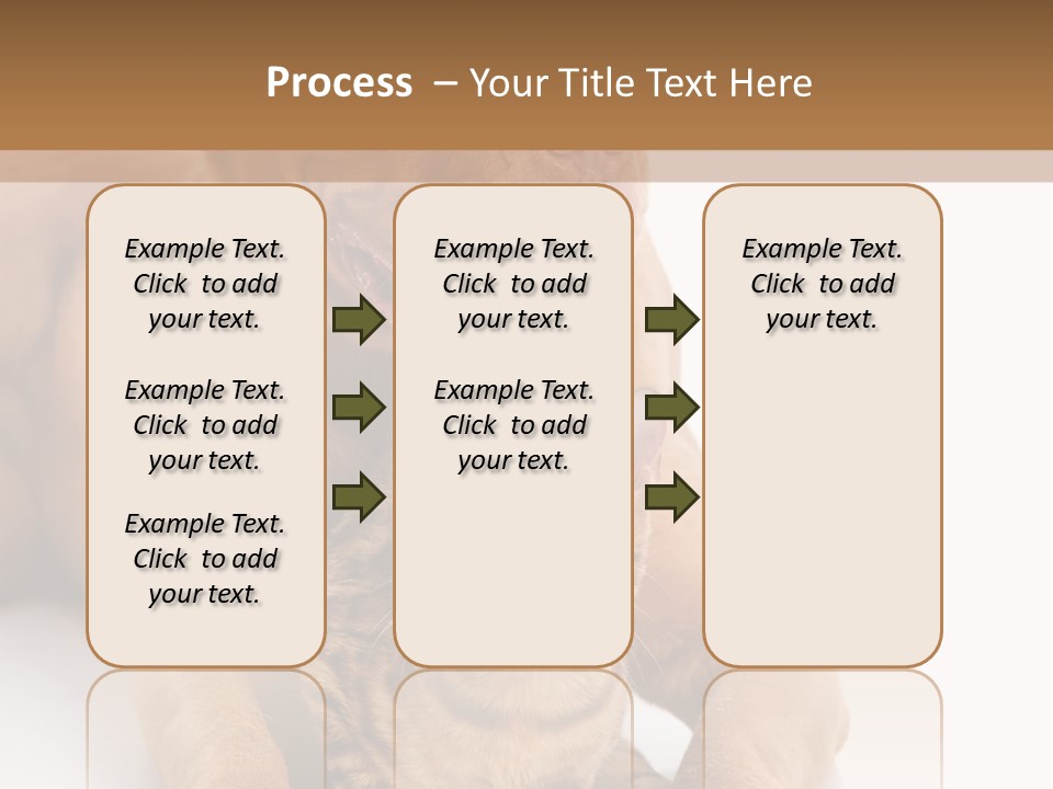 Feline Relations White PowerPoint Template