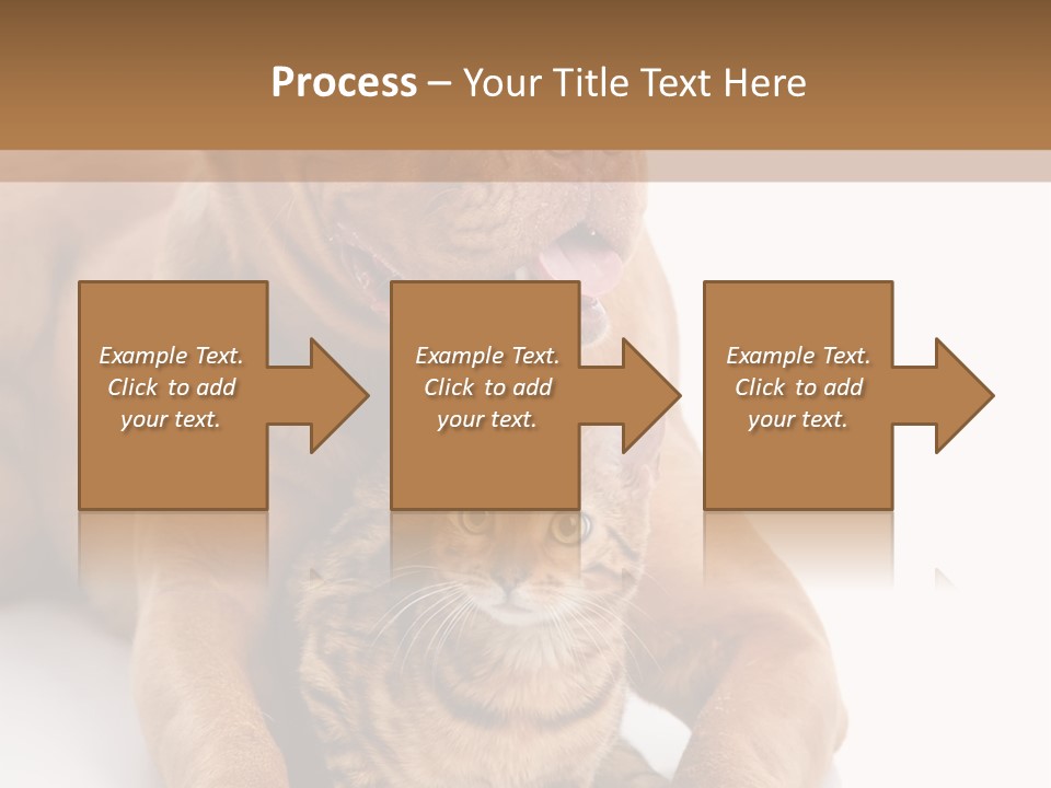 Feline Relations White PowerPoint Template