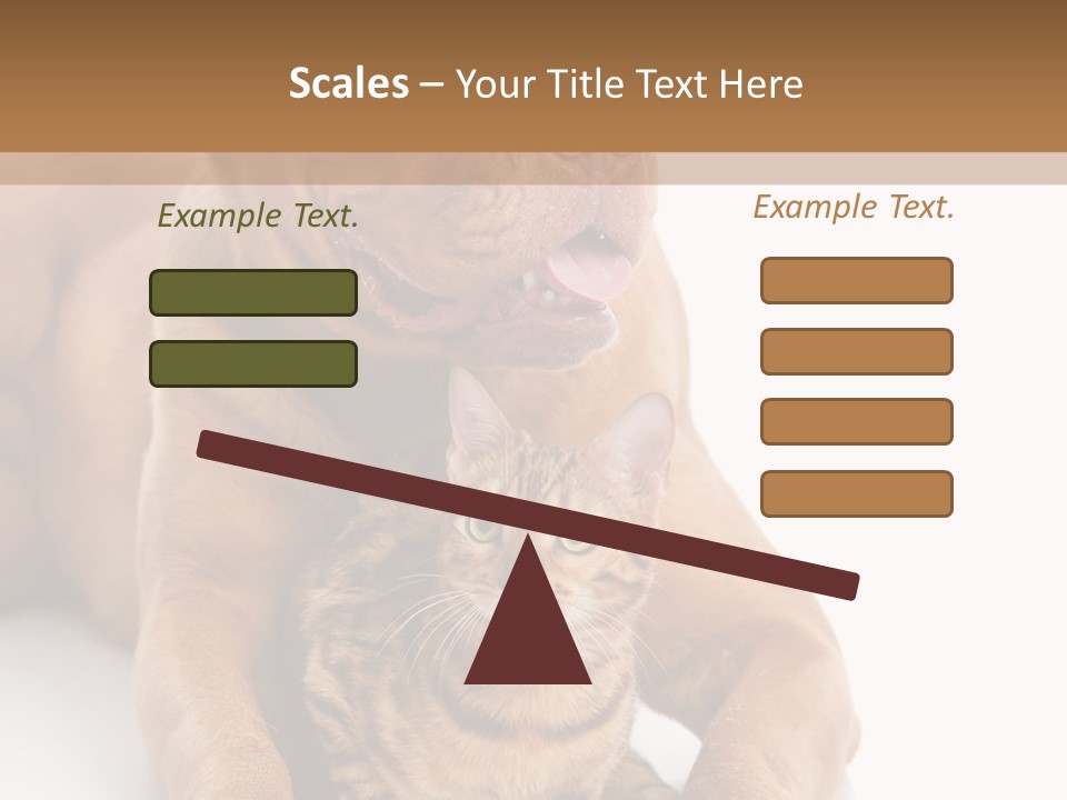 Feline Relations White PowerPoint Template