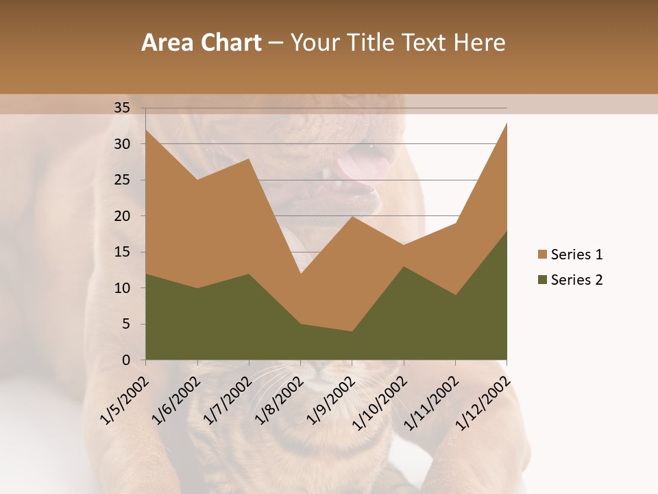 Feline Relations White PowerPoint Template