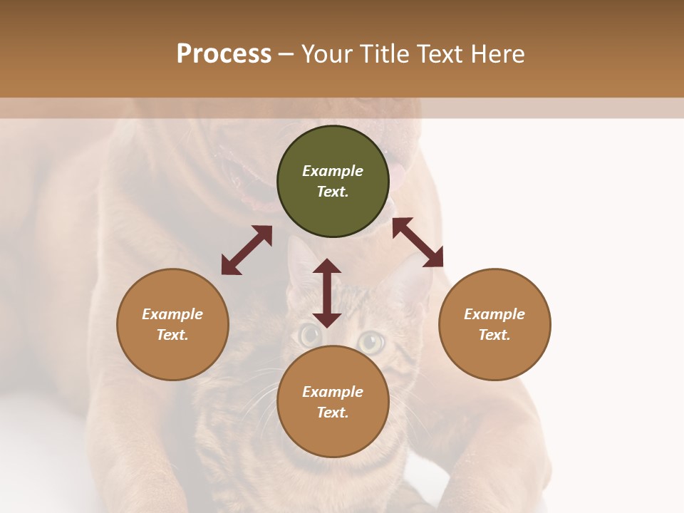 Feline Relations White PowerPoint Template