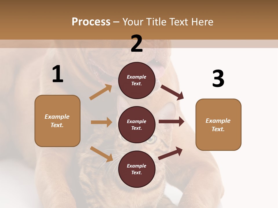 Feline Relations White PowerPoint Template