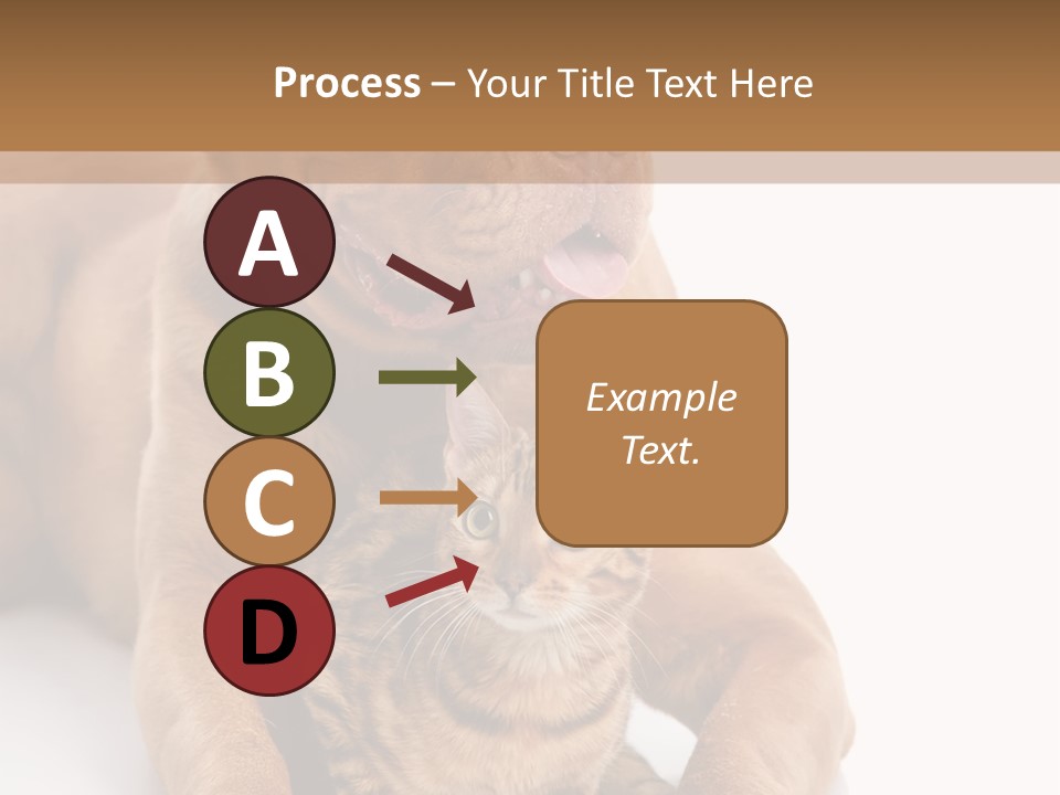 Feline Relations White PowerPoint Template