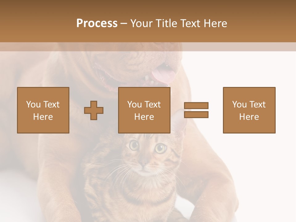 Feline Relations White PowerPoint Template