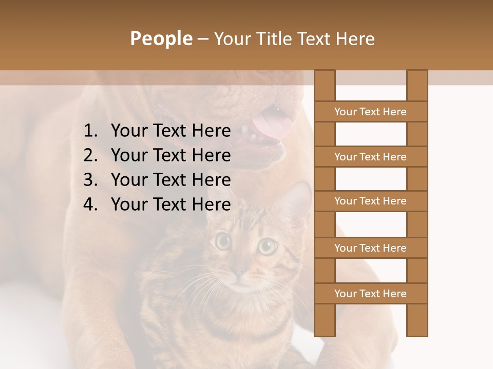 Feline Relations White PowerPoint Template