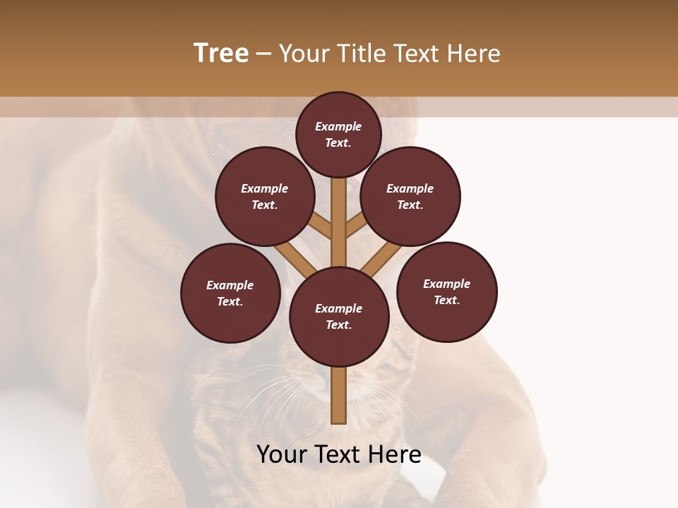 Feline Relations White PowerPoint Template