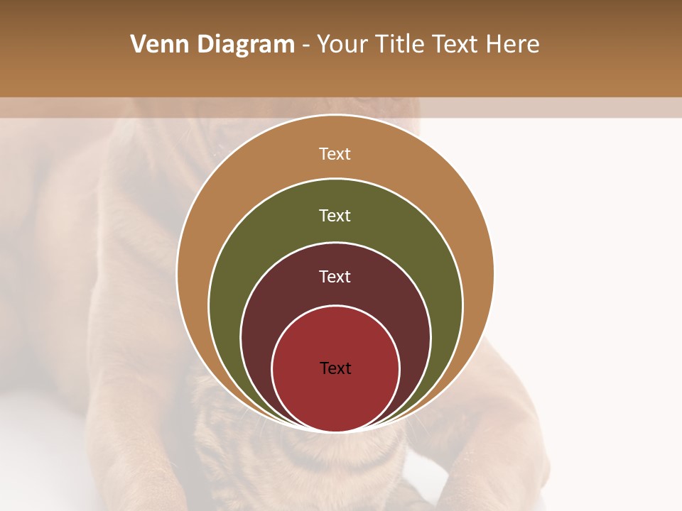 Feline Relations White PowerPoint Template