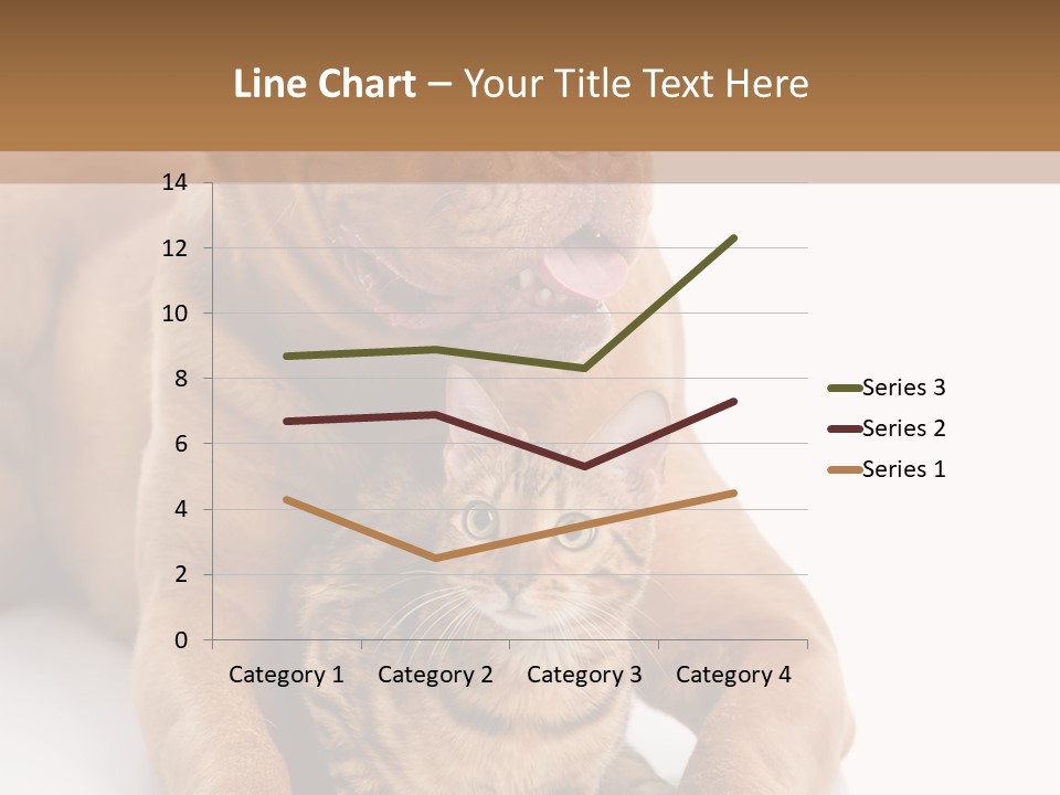 Feline Relations White PowerPoint Template