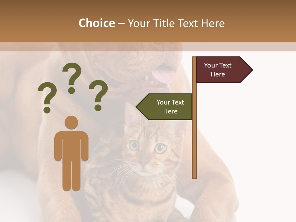 Feline Relations White PowerPoint Template