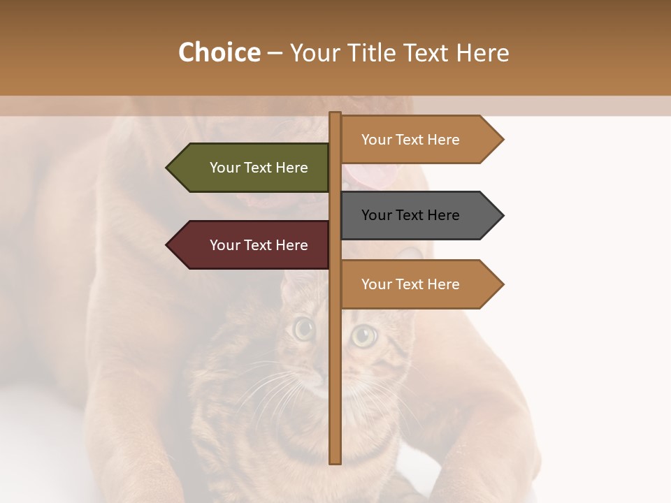 Feline Relations White PowerPoint Template