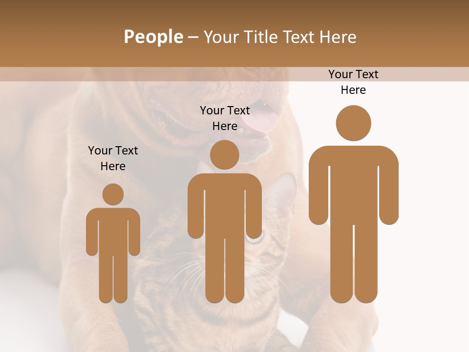 Feline Relations White PowerPoint Template