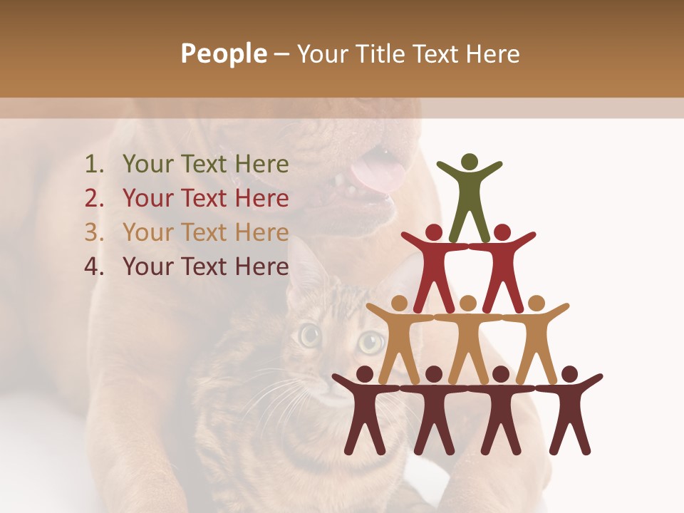 Feline Relations White PowerPoint Template