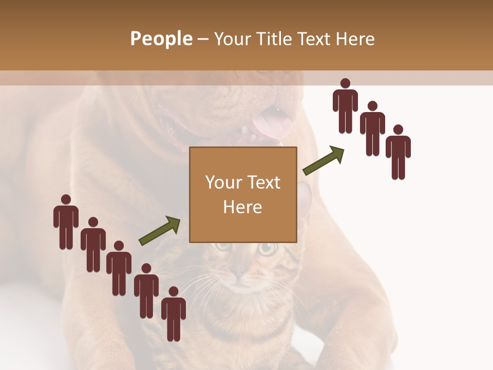 Feline Relations White PowerPoint Template