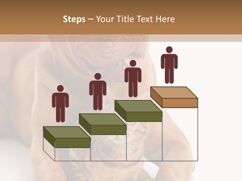 Feline Relations White PowerPoint Template