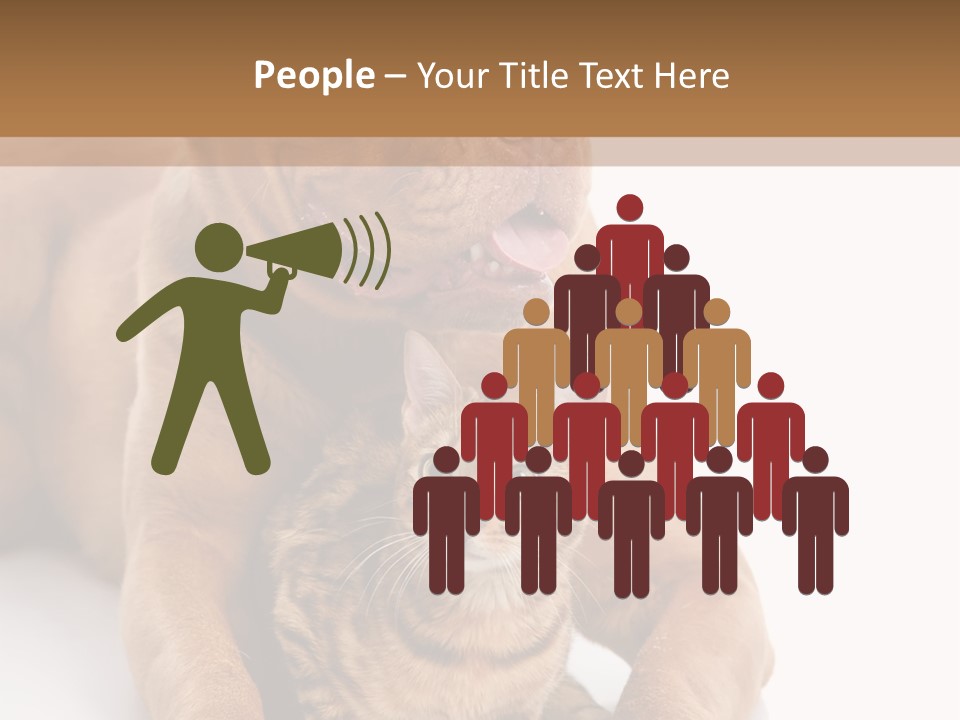 Feline Relations White PowerPoint Template