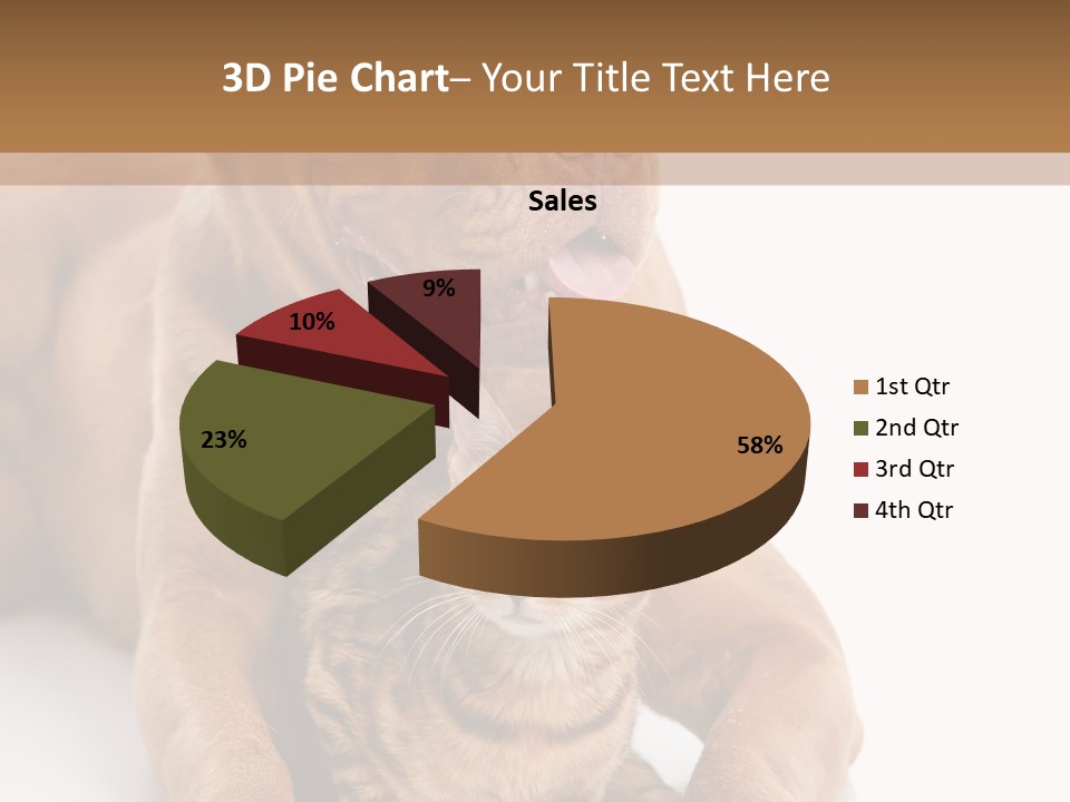 Feline Relations White PowerPoint Template