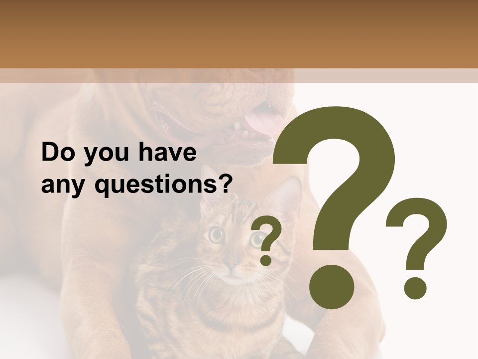 Feline Relations White PowerPoint Template