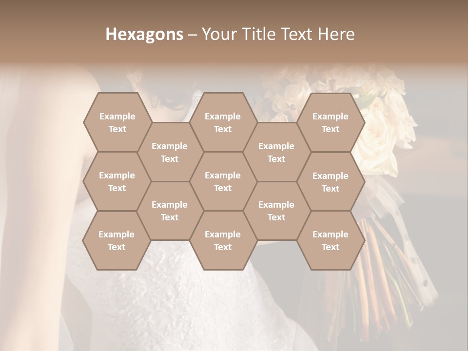 Pink  Silk PowerPoint Template