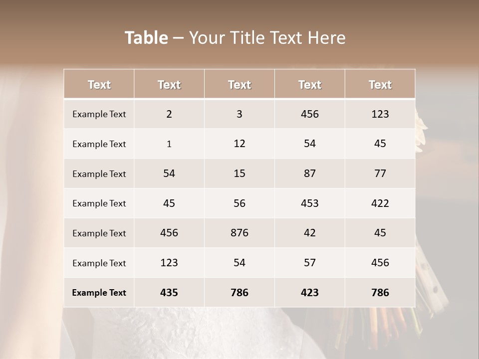 Pink  Silk PowerPoint Template