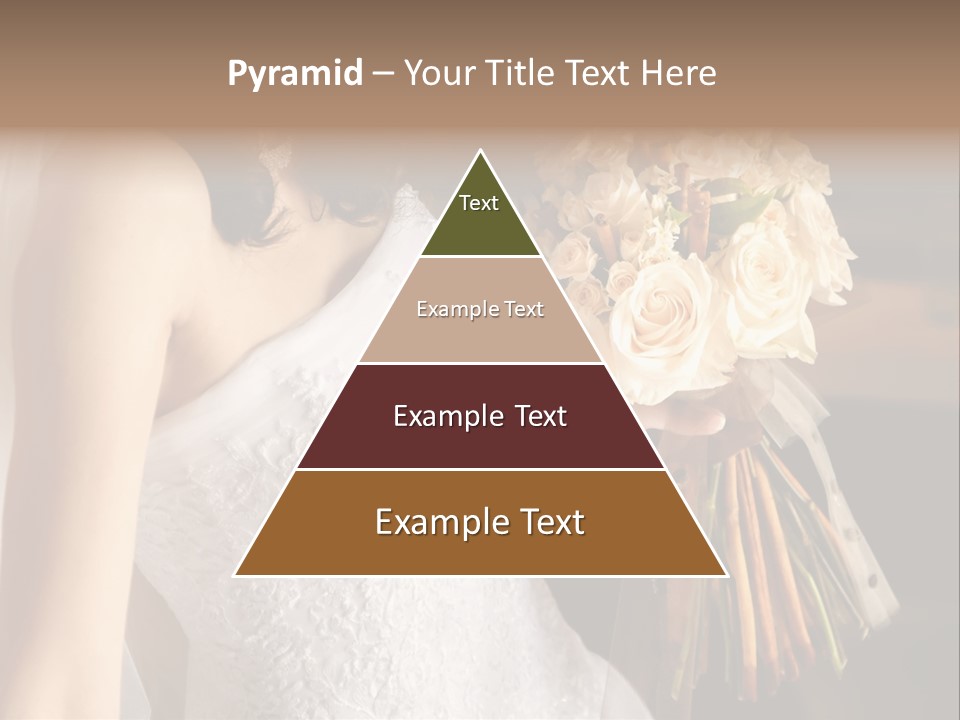 Pink  Silk PowerPoint Template