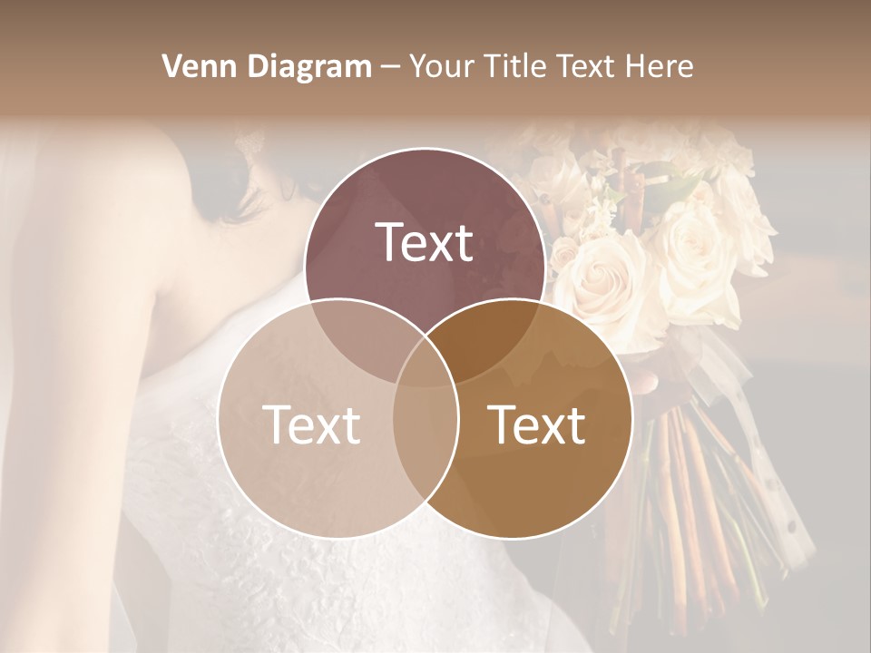 Pink  Silk PowerPoint Template