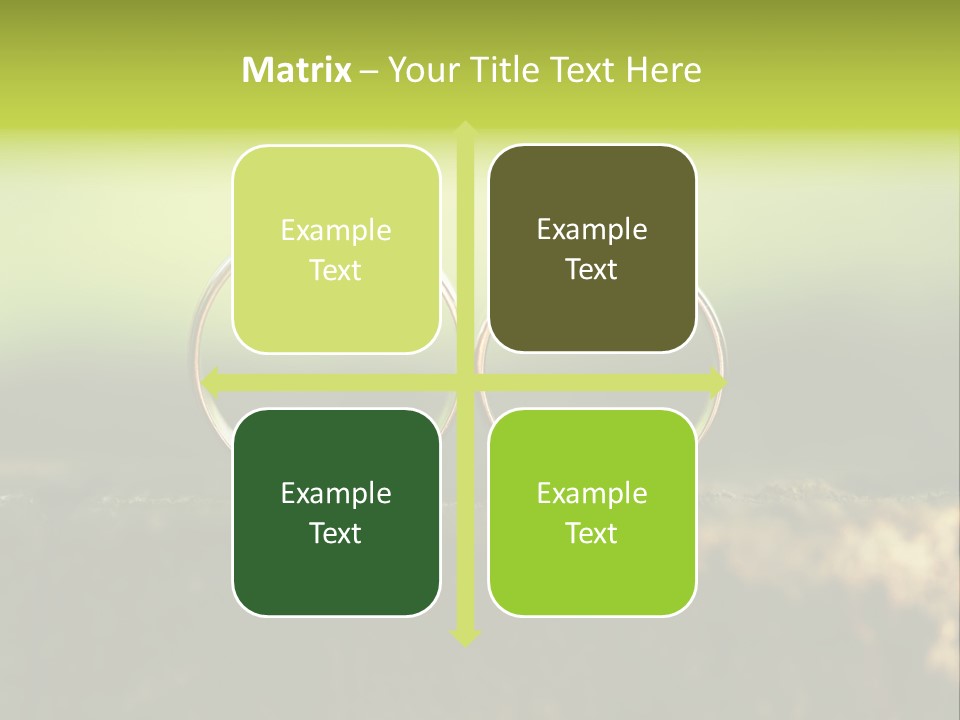 Two Wedding Rings Sitting On A Piece Of Wood PowerPoint Template